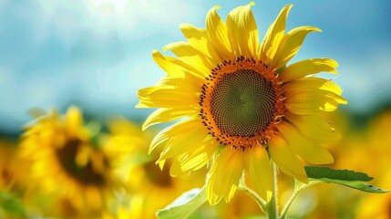 strawberries generative ai