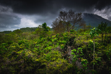 Hiking trail near Arenal volcano, Costa Rica
