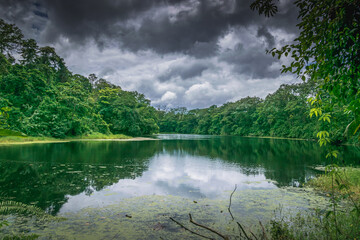 Calm pound surrounded by lush greenery during cloudy weather