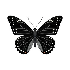 Fototapeta premium Unique Black and Blue Butterfly Graphic for Nature Designs 