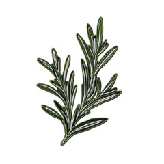 Fototapeta premium Fresh rosemary herb branch, ideal for culinary and aromatic purposes, enhancing flavor and fragrance in various dishes., isolated on a transparent background.