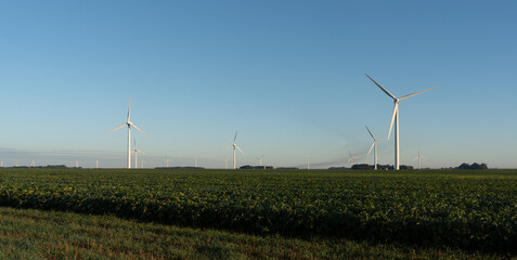 A field of wind turbines with a clear blue sky in the background