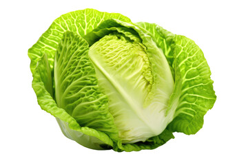 Fototapeta premium Fresh green cabbage with crisp leaves displayed against a clean white background for culinary inspiration and healthy meals. Generative AI