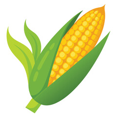 Obraz premium Cartoon vector illustration isolated object fresh food vegetable sweet corn