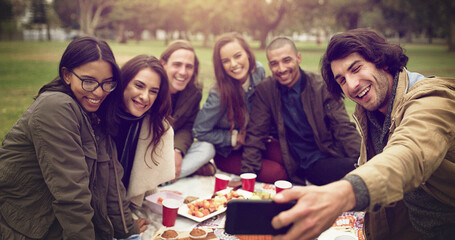 Friends, happy and selfie in park for picnic, bonding and social media on weekend with snacks in summer. Group of people, smile and memory outdoor for reunion, live streaming and diversity on blanket