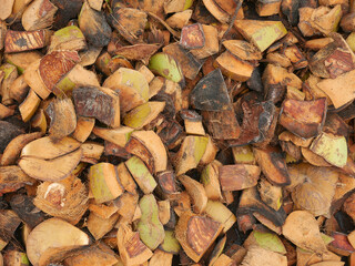 Tropical coconut skin background for digital use.