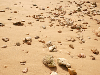 Seashore with a set of pebbles on sandy beach