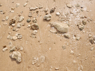 Seashore with a set of pebbles on sandy beach