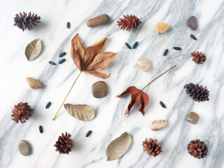 Flat lay, copy space, autumn fall concept isolated on a white marble.