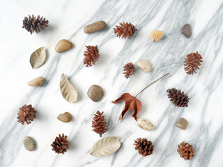 Flat lay, copy space, autumn fall concept isolated on a white marble.