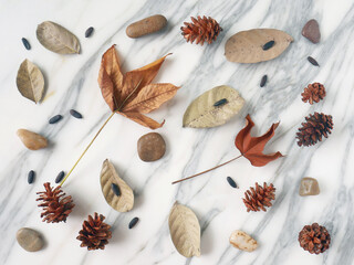 Flat lay, copy space, autumn fall concept isolated on a white marble.