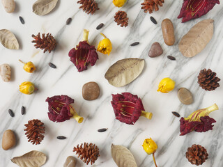 Flat lay, copy space, autumn fall concept isolated on a white marble.