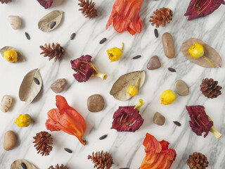Flat lay, copy space, autumn fall concept isolated on a white marble.