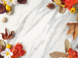 Frame of autumn objects such dry flowers, pine cones and leaves. Copy space for text