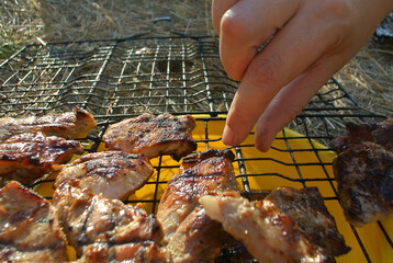 Fried meat, outdoor barbecue, barbecue and grill.