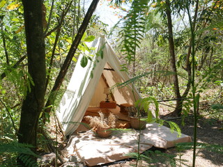 Camping tent interior view in a sunny day in the forest