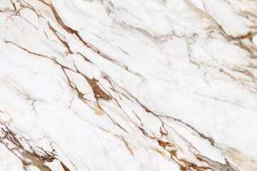 White marble surface glossy for digital use