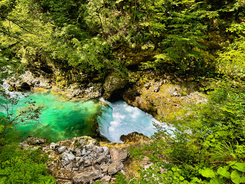 turbulent river carving its way through rocky cliffs, surrounded by dense vegetation. Slovenia