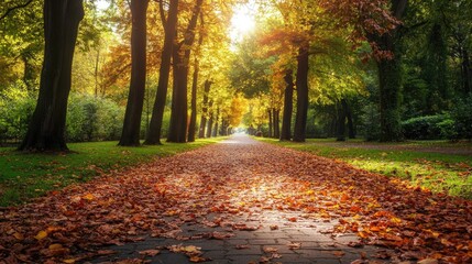 Naklejka premium Serene park pathway lined with lush green trees and fallen autumn leaves under soft sunlight.