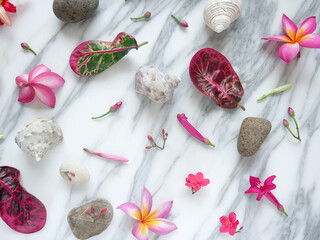 Background of a white marble with flowers, pebbles and seashells to add text