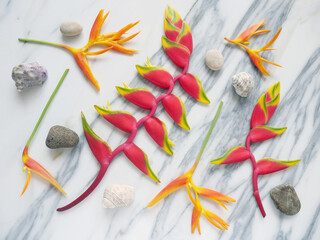 Banner or wallpaper with spa flowers, zen stones, shells isolated on a white marble.
