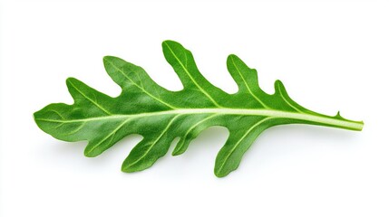   A zoomed-in image of a green leaf resting on a white background with a faint reflection shining beneath it