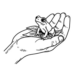 hand holding a little frog sketch