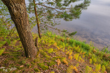 Fototapeta premium Water reservoir in Wilcza Wola, Podkarpackie Province, Poland, Europe