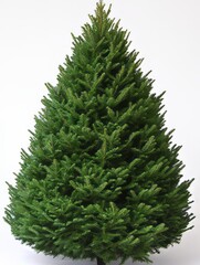 Small Christmas tree "ai generated"