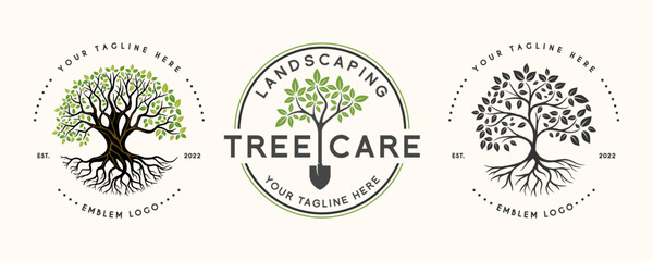 set Oak Tree Leaf Root Family Tree Oak Banyan Maple Stamp Emblem Label vintage style logo design vector © rina