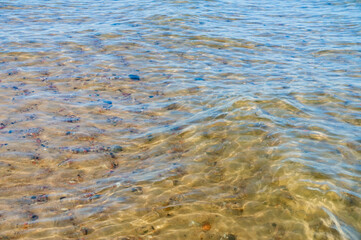 The background is clear water. Water with a yellow tint. The bottom of a body of water through the water.