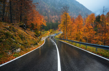 Road in beautiful forest in golden autumn. Empty mountain road, trees with red and orange foliage in rain. Colorful landscape with wet road in foggy woods in fall. Travel. Road trip. Transportation
