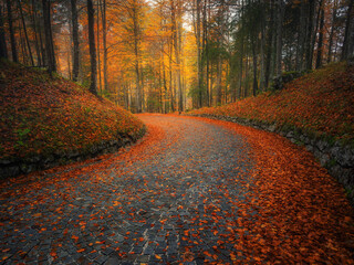 Fallen leaves covering a winding cobblestone road in forest in golden autumn. Empty mountain road,...