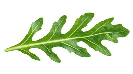 Fototapeta premium A sharp close-up of a verdant foliage against a pristine white background with the image mirrored on the reverse
