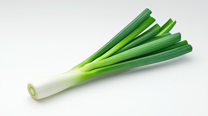   Close-up of green onions on white surface with visible green stem