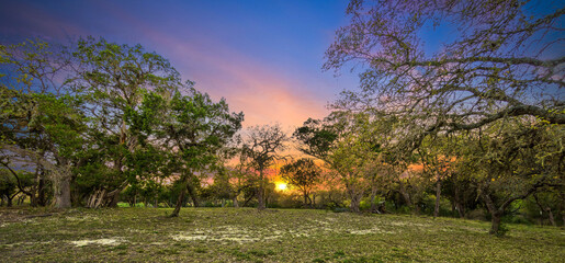 a sunset in texas