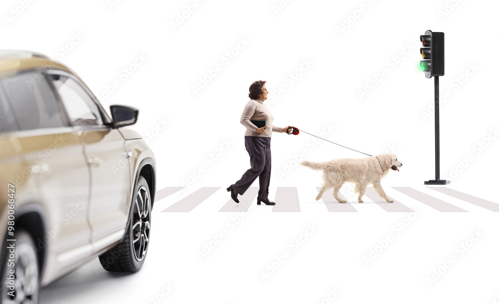 Poster full length profile shot of a mature woman walking a dog in front of a car on a street