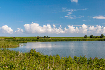 Naturschutzgebiet Leyhörn, Nordseeküste