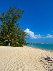 Cayman Beach 