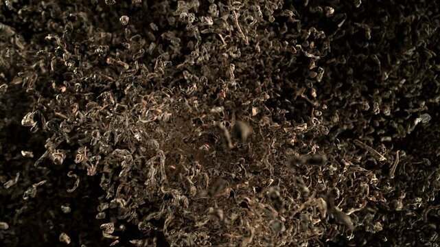 Super Slow Motion Shot of Dried Tea Flying Towards Camera at 1000fps.