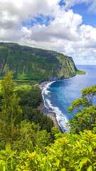 Obraz premium Waipi'o Valley Overlook - Hawaii