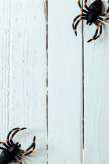 Halloween spider decorations on white wooden background
