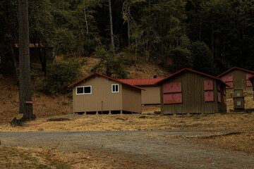 abandoned house in the woods