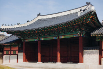 Fototapeta premium Gyeongbokgung Palace, Seoul, Jongno District, South Korea, in a spring sunny day, exterior view of main Korean royal palace in Cherry Blossom season, with Bugaksan mountain in the background