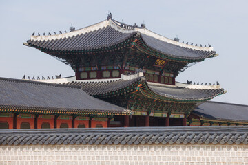Fototapeta premium Gyeongbokgung Palace, Seoul, Jongno District, South Korea, in a spring sunny day, exterior view of main Korean royal palace in Cherry Blossom season, with Bugaksan mountain in the background