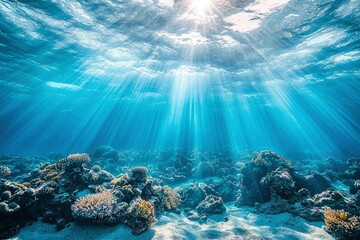 Fototapeta premium Underwater Sunbeams Illuminating a Coral Reef