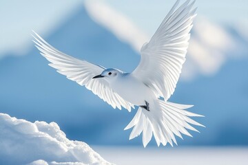 Obraz premium White Bird in Flight Against a Snowy Landscape