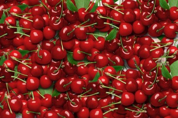 Background filled with ripe fresh cherries