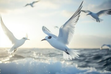 Fototapeta premium White Seabird in Flight Over Ocean Waves