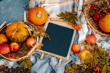 Autumn discounts banner. Autumn still life. Space for your text. Pumpkins, berries and apples in a...